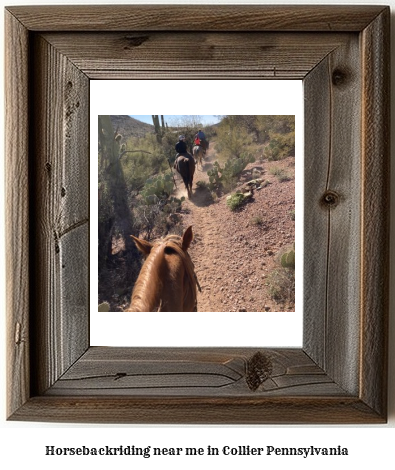 horseback riding near me in Collier, Pennsylvania